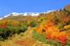 20061015_tsugaiketrip_03